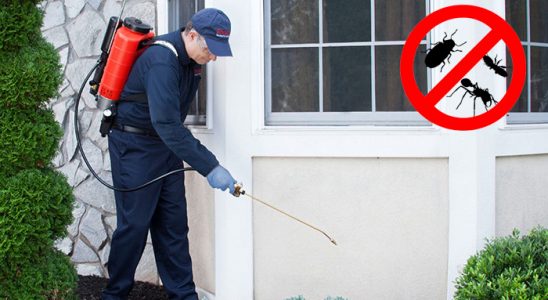 Yahşihan Uçan Haşere İlaçlama böcek ilaçlama ve haşere kontrolü — ilaclama-tr.com